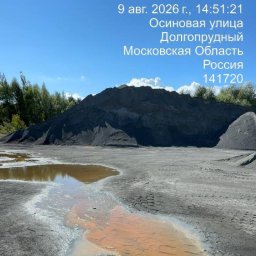 Эксперты зафиксировали катастрофу в водах Клязьмы