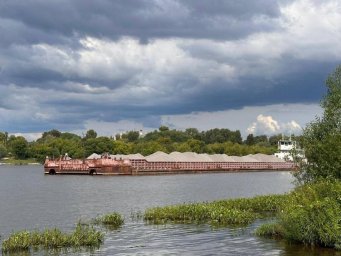 Вместо вложений в производство «Эконеруд Групп» засоряет акваторию Клязьминского водохранилища Вместо вложений в производство «Эконеруд Групп» засоряет акваторию Клязьминского водохранилища